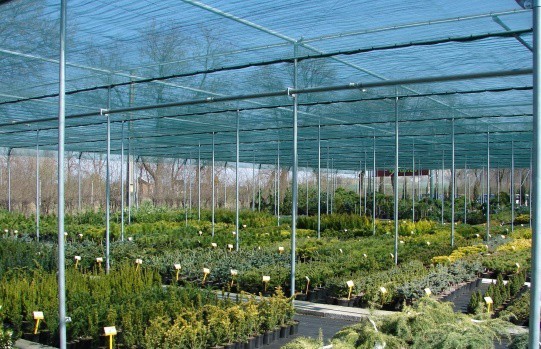 Hdpe Sun Shading Net