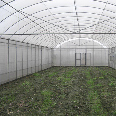 Gothic Style High Tunnel Greenhouse