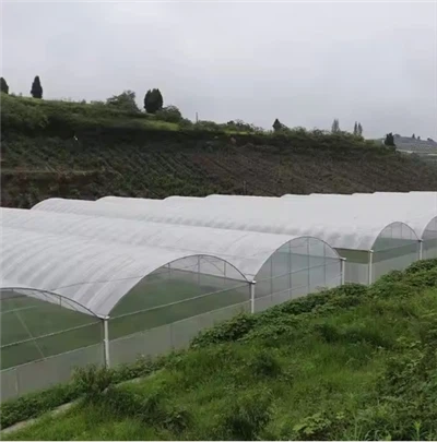 Gothic Arch staklenik