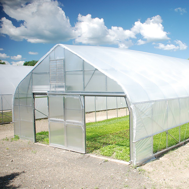 Walk in Tunnel Greenhouse